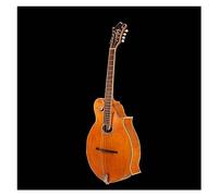 Mid Bass Mandolin Handmade Spruce Veneer Top 8 String Mandolin Instrument Mandolin for Student