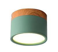 Mid Century Minimalist LED Ceiling Light Fixture Colorful Tri Color Dimming Flush Mount Light for Bathroom Toilet Entrance Stylish Circular Design Flat Surface Mounted Downlight