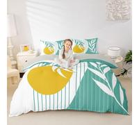 Mid Century Mint Duvet Cover Set Double Size,Abstract Modern Sun Leaf Bedding Set 3pcs,Boho Geometric Arch Curve Quilt Cover with Zipper Closure,Kids Boys Girls Room Decor,2 Pillowcases,No Comforter