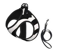 Mid Century Modern Abstract Arches Black and White No Pull Dog Harness and Leash Set, Cute Reflective Adjustable Vest for Small Dogs,Breathable Mesh Puppy Harness for Walking Hiking,Medium