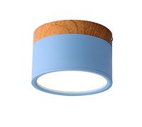 Mid Century Modern LED Ceiling Light Fixture Colorful Circular Flush Mount Lamp with Tri Color Dimming for Bathroom Toilet Entrance Minimalist Design Flat Surface Mounted Downlight
