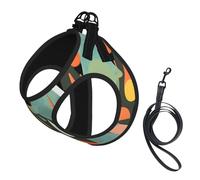 Mid Century Modern Retro with Drop Shapes Print Soft Mesh Dog Harness and Leash Set Pet Puppy Cat Comfort Padded Vest No Pull Harnesses