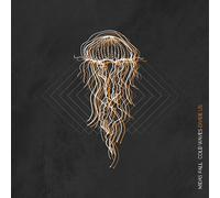 Midas Fall - Cold Waves Divide Us