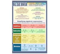 Middle School Math Poster Integer Rules Chart for Positive and Negative Numbers Classroom Wall Art Algebra Resource Homeschool Decor(Unframed,16x24inch(40x60cm))