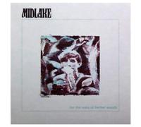 Midlake - For the Sake of Bethel Woods