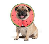 MIDOG Dog Cone Collar for Large Medium Dogs, Soft Inflatable Dog Cone Alternative After Surgery, Adjustable Protective Recovery Cone - Alternative E Collar Does Not Block Vision (Watermelon,M)