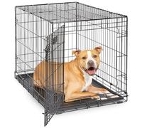 MidWest Homes for Pets 36-Inch iCrate Folding Dog Crate with Divider Panel, Leak-Proof Tray & Secure Latches - Metal Wire Kennel for Medium Large Breeds - Portable, Durable & Easy to Assemble