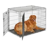 MidWest Homes for Pets 42-Inch Two-Door iCrate Folding Dog Crate with Divider Panel, Leak-Proof Tray & Secure Latches - Metal Wire Kennel for Large Breeds - Portable, Durable & Easy to Assemble