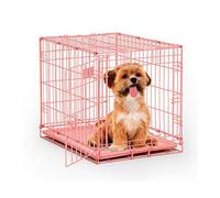 MidWest Homes for Pets Newly Enhanced Single Door iCrate 60.96 cm (24-Inch) Long Dog Crate, Includes Leak-Proof Pan, Floor Protecting Feet, Divider Panel & New Patented Features, Pink, Model 1524PK