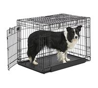 MidWest Homes for Pets Intermediate Ovation Double Door 91 cm Folding Metal Dog Crate, Front and Up & Away Side Doors, Space-Saving Design