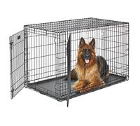 MidWest Life Stages Double-Door Folding Metal Dog Crate, 48 Inches by 30 Inches by 33 Inches