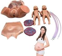 Midwifery Training Model Child Birth Education Tools Childbirth Simulator with 2 Fetus 2 Placenta 2 Umbilical Cord Carrying Bag Suitable
