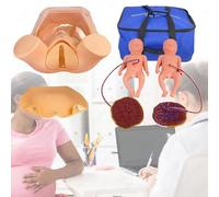 Midwifery Training Model, Female Natural Delivery Simulation with 2 Fetuses & 2 Placentas, Childbirth Education Tools for Medical Teaching