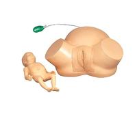 Midwifery Training Model, Real Size, Demonstration Female Childbirth, Obstetrics and Gynecology Childbirth Simulator, Advanced Midwifery Training Model, for Medical Teaching