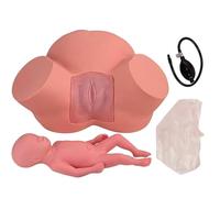 Midwifery Training Simulator Childbirth Demo Female Pelvic Fetus Model Normal Abnormal Fetal Position Delivery Manikin Teaching Model