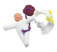 Midwifery Training Simulator, Childbirth Education Model with Baby and Female Pelvis for Medical Study and Demonstration