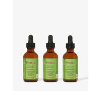 Mielle Rosemary Mint Growth Oil Trio (set of 3)