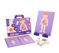 mierEdu Magnetic Pad - Human Anatomy I Designed for Beginners I Teaches Body Parts, Bones & Organs I Toy for Children I Toy from 3 Years