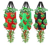 Miewslan 3 Pieces Upside Down Tomato Planter, 3 Gallons Grow Bags Hanging Strawberry Planter Strawberry Tomato Potato Vegetable Planting Bag with 13 Holes(Red+Green+Black)