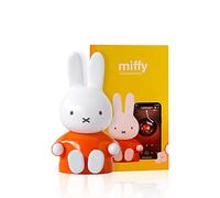 Miffy Portable Bluetooth Speakers, Cute Portable Wireless Speakers with Loud Stereo Sound, Built-in Mic, TF-Card Slot, Dual Pairing,40H Playtime for Room, Desk Decor, for her (ORANGE)