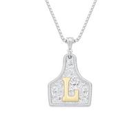 MIFYNN Gold/Silver Cow Tag Necklace with Initial for Women/Man Western Letter Belt Buckle Necklace Cowgirl Cowboy Hippie Country Jewelry Gift, L, Brass, No Gemstone