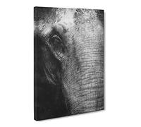 Mighty Elephant In The Shadows Canvas Print | Gallery Wrapped 30mm Frame Wall Art | 24x16 inches | Ready to Hang | Modern Animals Picture | Living Room Bedroom Lounge Office