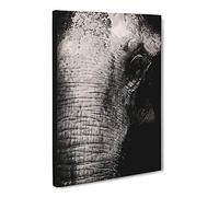 Mighty Elephant In The Shadows Canvas Print | Gallery Wrapped 30mm Frame Wall Art | 24x16 inches | Ready to Hang | Modern Animals Picture | Living Room Bedroom Lounge Office