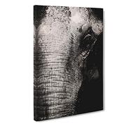 Mighty Elephant in the Shadows Canvas Print | Gallery Wrapped 30mm Frame Wall Art | 30x20 inches | Ready to Hang | Modern Animals Picture | Living Room Bedroom Lounge Office