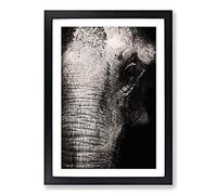 Mighty Elephant in The Shadows Framed Print | A2 Black Framed Wall Art | Ready to Hang | Modern Animal Picture | Living Room Bedroom Lounge Office