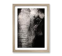 Mighty Elephant In The Shadows Modern Framed Print | A2 Oak Framed Wall Art | Ready to Hang | Modern Animal Picture | Living Room Bedroom Lounge Office