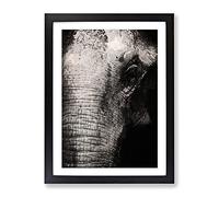 Mighty Elephant In The Shadows Modern Framed Print | A3 Black Framed Wall Art | Ready to Hang | Modern Animal Picture | Living Room Bedroom Lounge Office