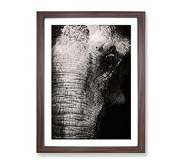 Mighty Elephant In The Shadows Modern Framed Print | A3 Walnut Framed Wall Art | Ready to Hang | Modern Animal Picture | Living Room Bedroom Lounge Office