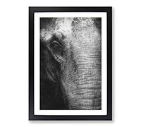 Mighty Elephant in The Shadows Painting Framed Print | A2 Black Framed Wall Art | Ready to Hang | Modern Animal Picture | Living Room Bedroom Lounge Office