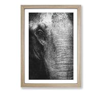 Mighty Elephant in The Shadows Painting Framed Print | A2 Oak Framed Wall Art | Ready to Hang | Modern Animal Picture | Living Room Bedroom Lounge Office