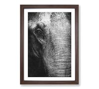 Mighty Elephant in The Shadows Painting Framed Print | A2 Walnut Framed Wall Art | Ready to Hang | Modern Animal Picture | Living Room Bedroom Lounge Office