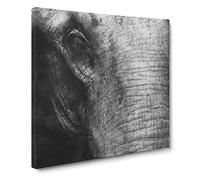 Mighty Elephant in the Shadows Painting Modern Canvas Wall Art Print Ready to Hang, Framed Picture for Living Room Bedroom Home Office Décor, 14x14 Inch (35x35 cm)