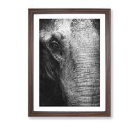 Mighty Elephant In The Shadows Painting Modern Framed Print | A3 Walnut Framed Wall Art | Ready to Hang | Modern Animal Picture | Living Room Bedroom Lounge Office