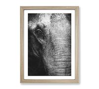 Mighty Elephant In The Shadows Painting Modern Framed Print | A4 Oak Framed Wall Art | Ready to Hang | Modern Animal Picture | Living Room Bedroom Lounge Office