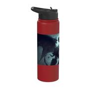 Mighty King Demon and his Reign of Darkness Stainless Steel Insulated Water Bottle