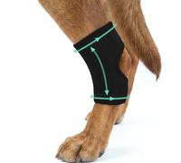 MIGOHI Dog Knee Brace For Back Leg, Lightweight Brace for Dogs with A rthritis, Dog Hock Joint Support for Senior Dogs Hind Leg Weakness, Post-Surgery Recovery Protect Wound From Licking, Black M