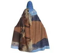 Migpkd Mouse Halloween Hooded Cloaks Witch Robe Cloaks Hooded Robe Cloak For Adult Cape Cosplay Costume