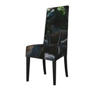 Migpkd Outdoor Wildlife Deer Antler Chair Covers For Dining Room Stretch Chair Cover Washable Chair Covers For Home Or Party