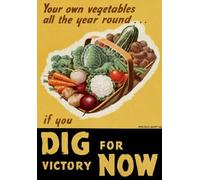 Migsrater British Grow Your Vegetables Own Dig for Victory,Tin Sign Vintage Funny Creature Iron Painting Metal Plate Novelty 12X16in