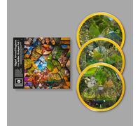 Miguel Atwood-Ferguson - Les Jardins Mystiques Vol.1