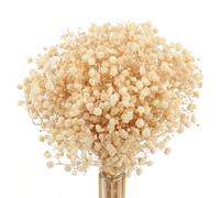 MIHUAGE Dried Flowers Babys Breath Bouquet,100% Natural 17.2" 3000+ Ivory White Bundles Gypsophila for Wedding DIY Arrangements Home Decorations Table Vase Decor 4oz(Beige)