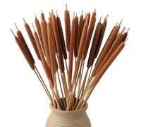 MIHUAGE Dried Natural Cattails - 30PCS for DIY Floral Arrangements and Home Office Decor - Jumbo Size 17 Inch Length Dia Around 0.7 inch