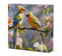 MIJOMA Bird Paradise Sound Box with Natural Sounds | Relaxation for home, with motion sensor and on/off switch, ideal for bathroom, hallway, office and living room