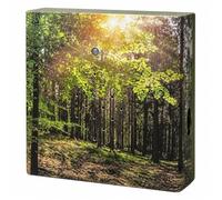MIJOMA Sound Box with Natural Sounds - Forest Sunlight | Relaxation for home, with motion sensor and on/off switch, ideal for bathroom, hallway, office and living room