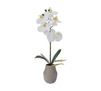 MIKASA Artificial Orchid in Pot, Real Touch Phalaenopsis Orchid, Embossed Weave Cement Pot, 16-Inch Single Branch, White/Yellow