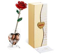Mikasol Dipped Forever Preserved Rose, Pack Gold 24K 1 Christmas(Red)
